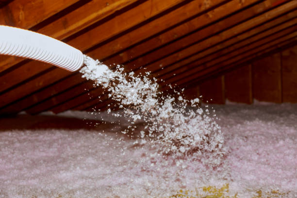 Best Commercial Insulation Services  in Ojai, CA