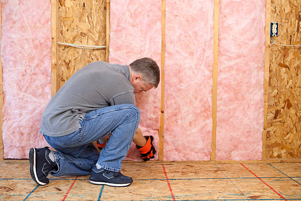 Types of Insulation We Offer in Ojai, CA